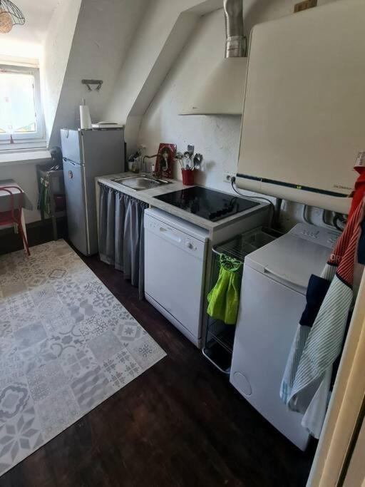 אורילק Appartement Centre Ville Terrasse Jardin Garage Chez Priscilla מראה חיצוני תמונה